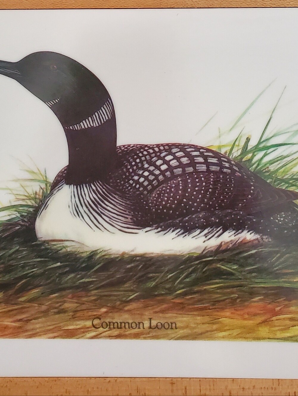 Vintage John Marshall Common Loon Wood Ceramic Tile Cutting Board Trivet Cabin - Picture 5 of 9
